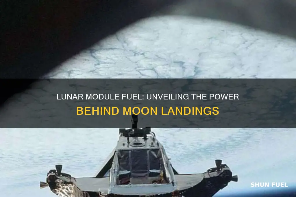 what fuel did the lunar module use