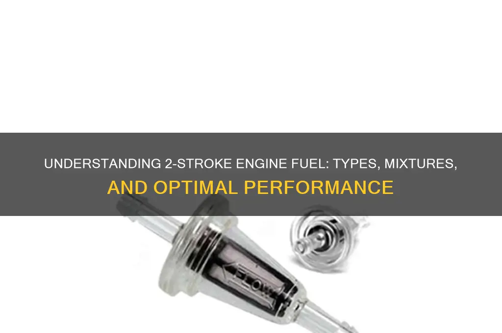 what fuel do 2 stroke engines use