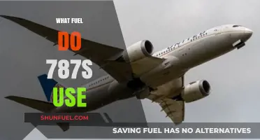 Boeing 787 Dreamliner Fuel Type: Jet-A or Sustainable Alternatives?