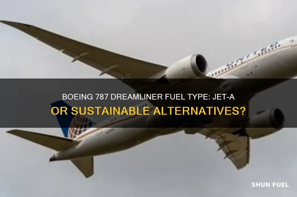 what fuel do 787s use