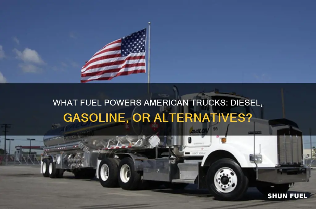 what fuel do american trucks use