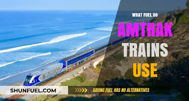 Amtrak Trains' Fuel Source: Diesel, Electricity, or Both?