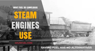Camelback Steam Engines: Unveiling Their Unique Fuel Source and Power