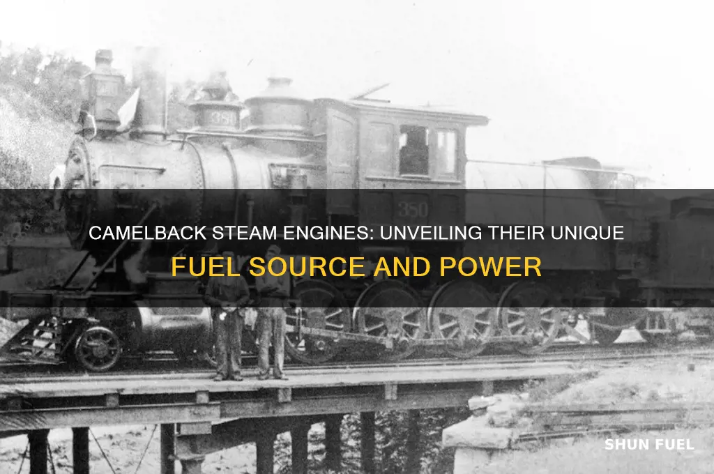 what fuel do camelback steam engines use