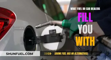 Car Dealers: The Fuel Behind the Wheel