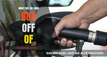 The Evolution of Car Fuel: What Powers Our Vehicles?
