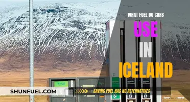 Iceland's Car Fuel: A Unique Blend
