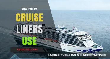 Cruise Liners' Fuel Choice: Unveiling the Power Behind Ocean Voyages