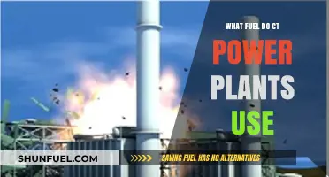 What Fuel Powers CT Power Plants? A Comprehensive Guide