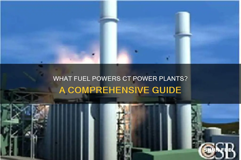 what fuel do ct power plants use