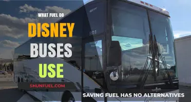 Disney Buses Fuel Type: Uncovering the Power Behind the Magic