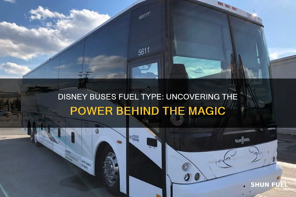 what fuel do disney buses use