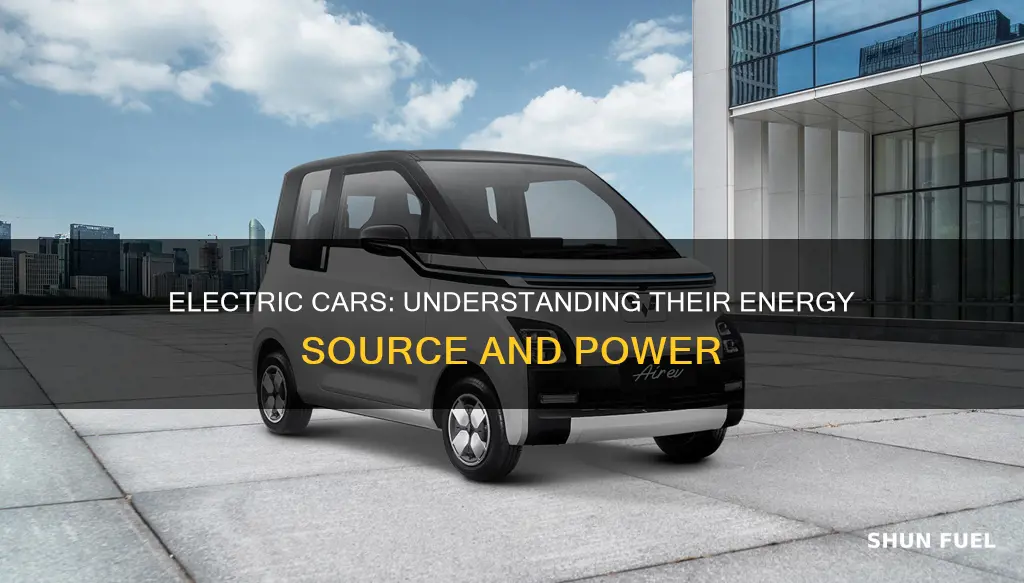 what fuel do electric cars use