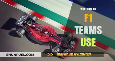 F1 Fuel Secrets: Uncovering the High-Performance Blends Teams Use