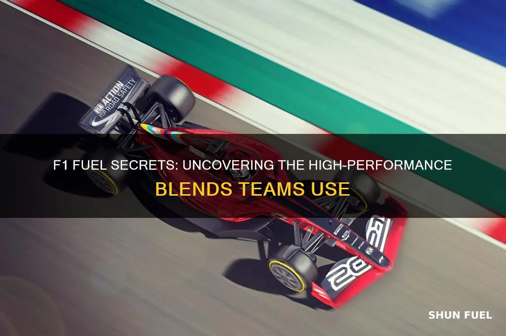 what fuel do f1 teams use