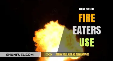 Unveiling the Secrets: What Fuel Do Fire Eaters Use?