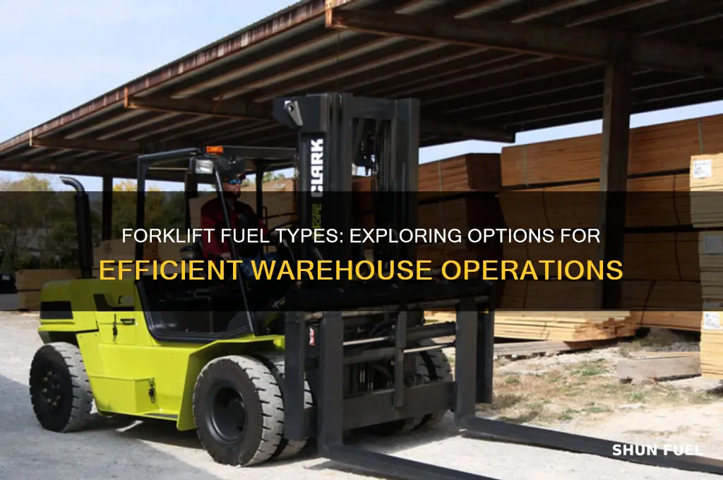 what fuel do forklifts use