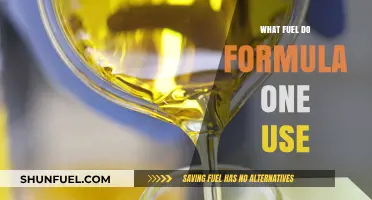 Formula One Fuel: Unveiling the High-Performance Energy Behind the Speed