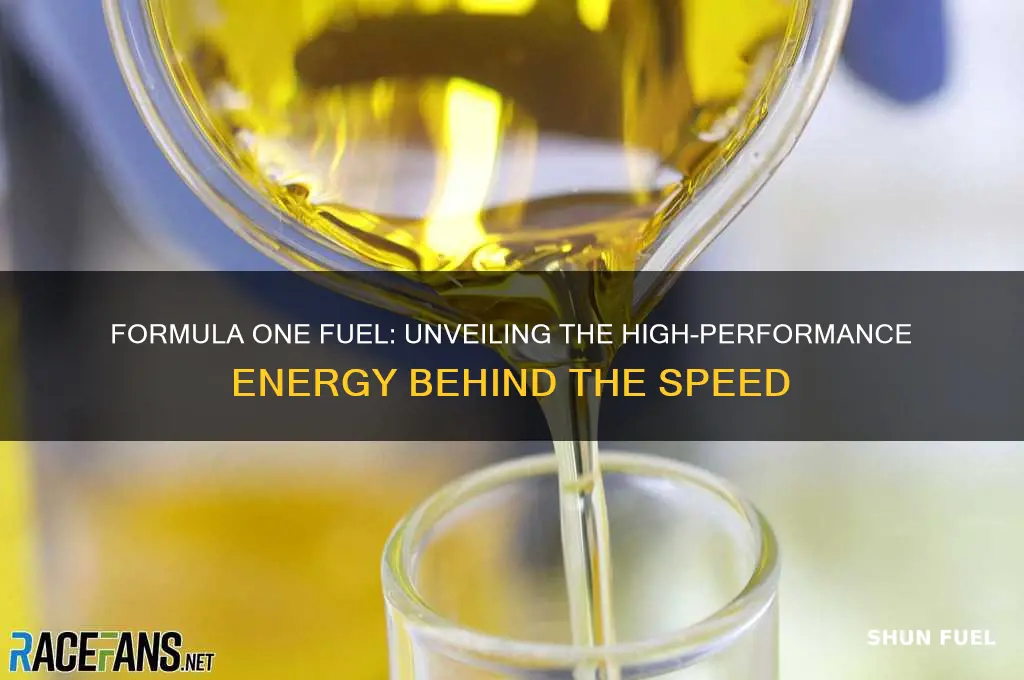what fuel do formula one use