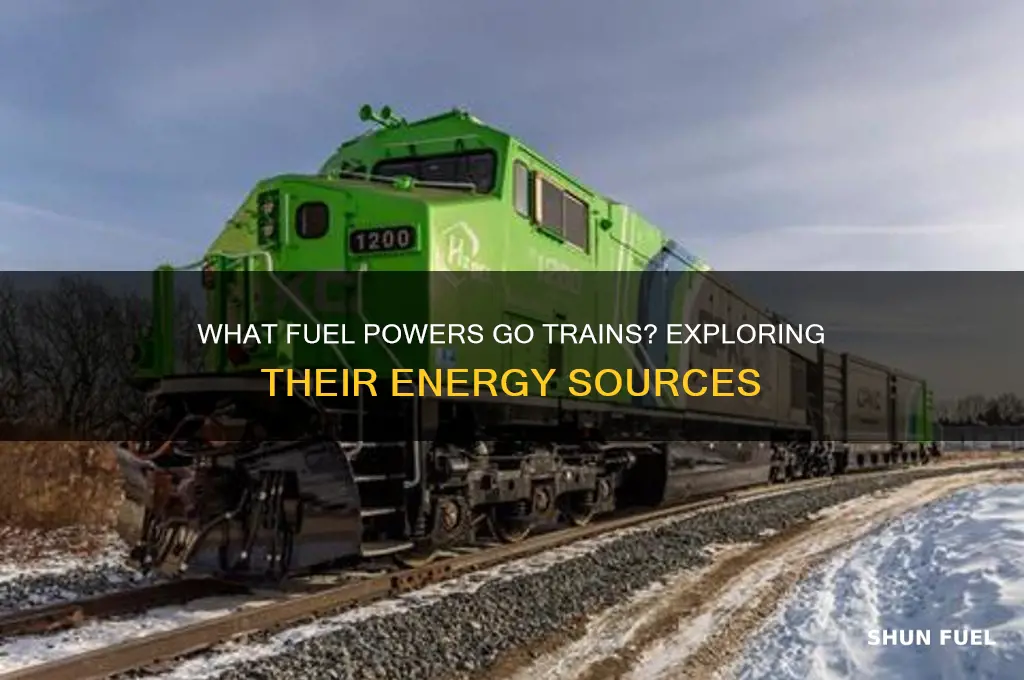 what fuel do go trains use