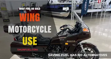 Gold Wing Fuel Guide: What Powers Honda's Iconic Touring Motorcycle?