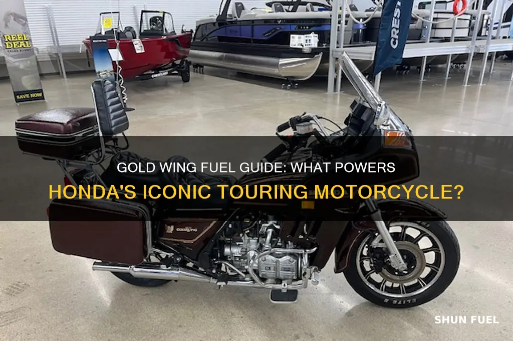 what fuel do gold wing motorcycle use