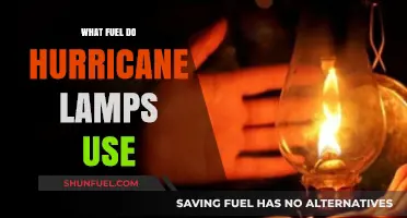 Hurricane Lamps: Understanding the Best Fuel Types for Optimal Performance