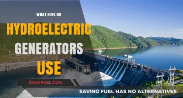Hydroelectric Power: Understanding the Fuel Source for Clean Energy Generation