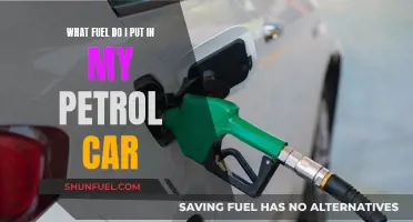 Understanding Petrol: Fuel Options for Your Car