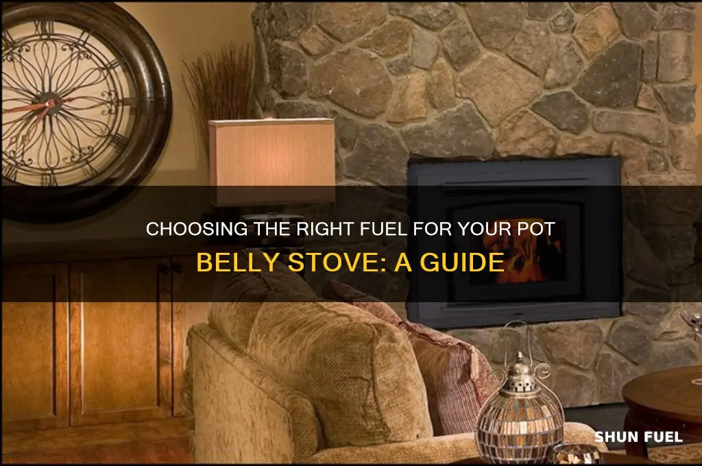 what fuel do i use for a pot belly stove