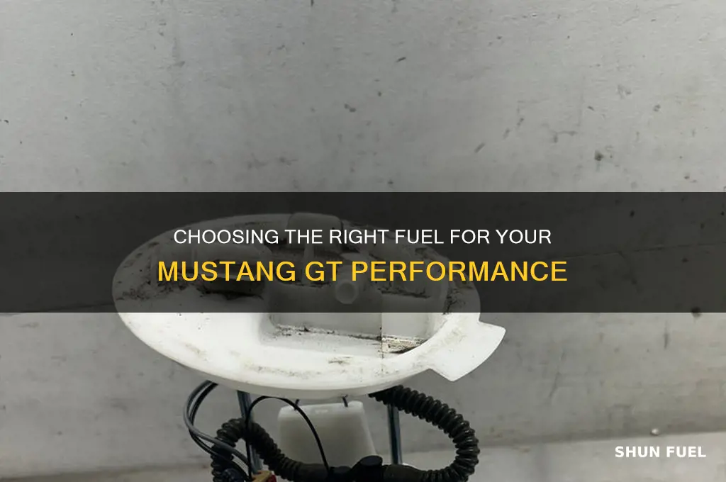 what fuel do i use in my mustang gt