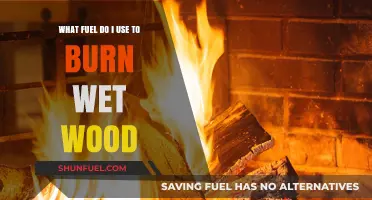 Burning Wet Wood: Choosing the Right Fuel for Efficient Combustion