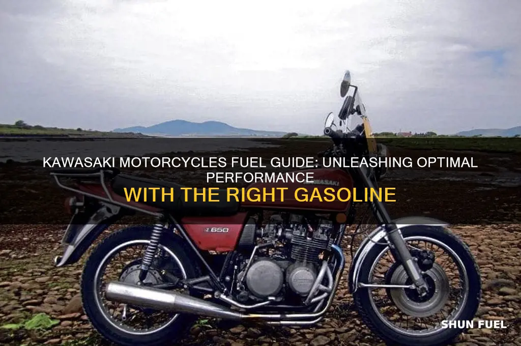 what fuel do kawasaki motorcycles use