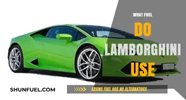 What Fuel Powers Lamborghini Supercars: Unleashing Performance and Efficiency