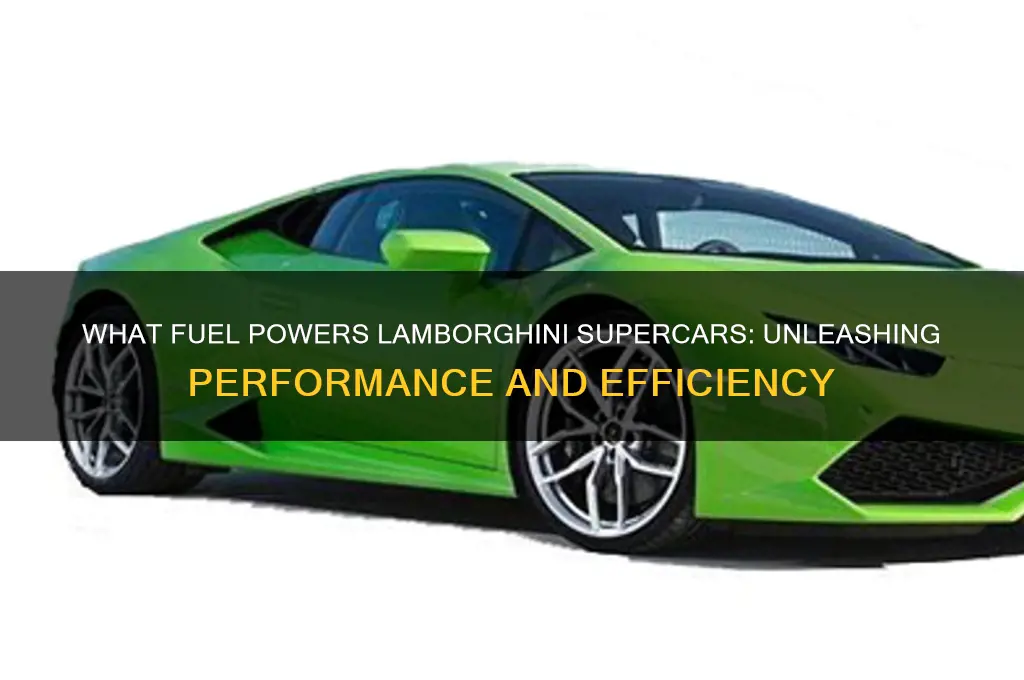 what fuel do lamborghini use
