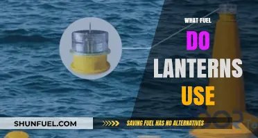 Exploring Lantern Fuel Types: What Powers Your Portable Light Source?