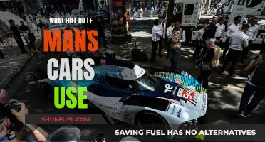 Le Mans Cars: Fuel for the Ultimate Race