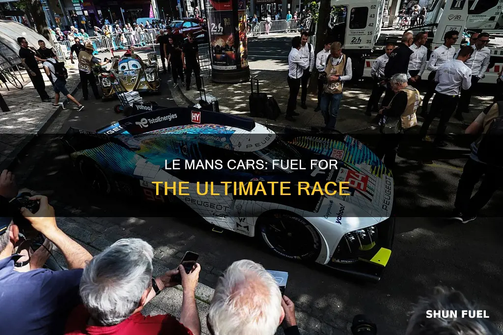what fuel do le mans cars use