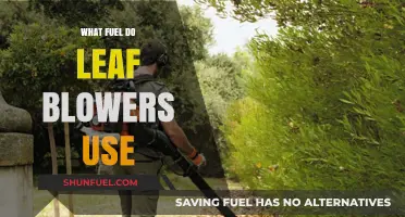Leaf Blower Fuel Guide: Gas, Electric, or Battery Power?