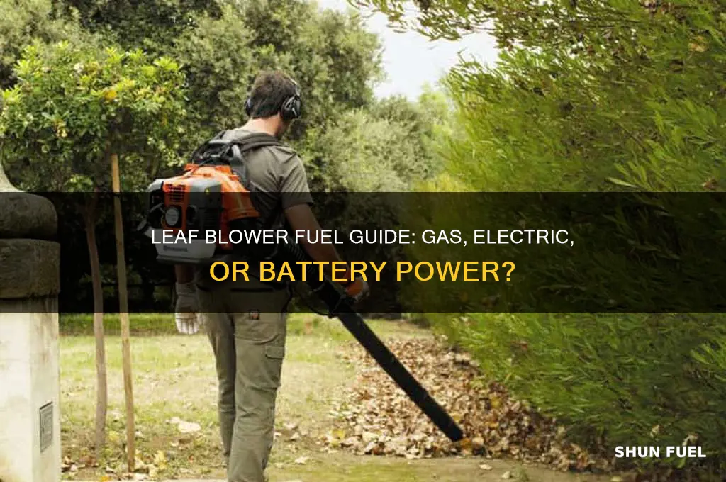 what fuel do leaf blowers use
