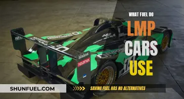 The Fuel Behind LMP Cars: Understanding Their Power Source
