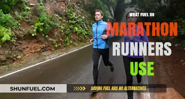 What Fuel Do Marathon Runners Use: Carbohydrates, Fats, or Both?