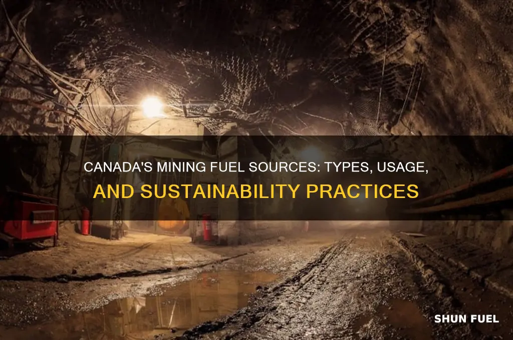 what fuel do mining companies use canada