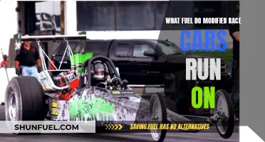 Modified Race Cars: Fuel Options and Performance