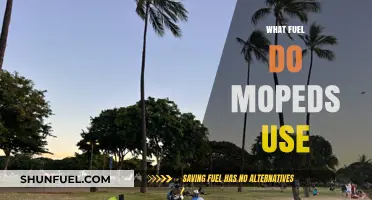 Moped Fuel Types: Gasoline, Electric, and Eco-Friendly Options Explained