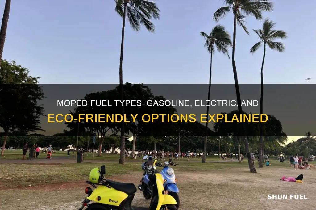 what fuel do mopeds use
