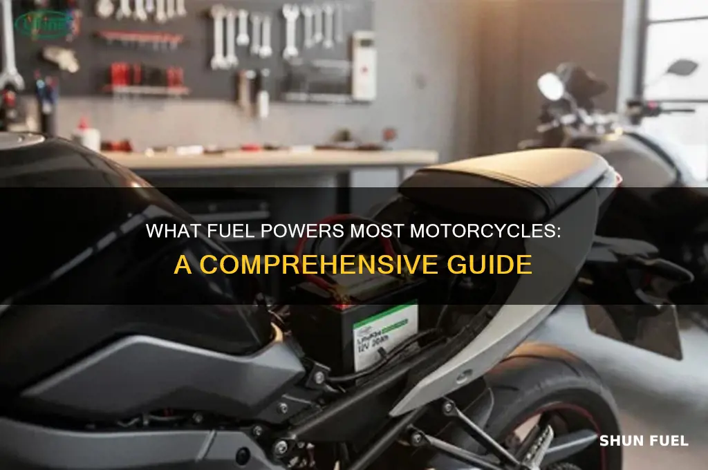 what fuel do most motorcycles use