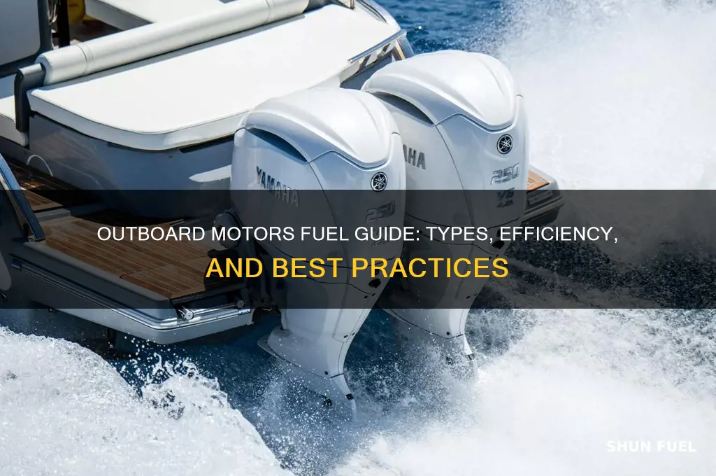 what fuel do outboard motors use
