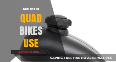 What Fuel Do Quad Bikes Use? A Comprehensive Guide