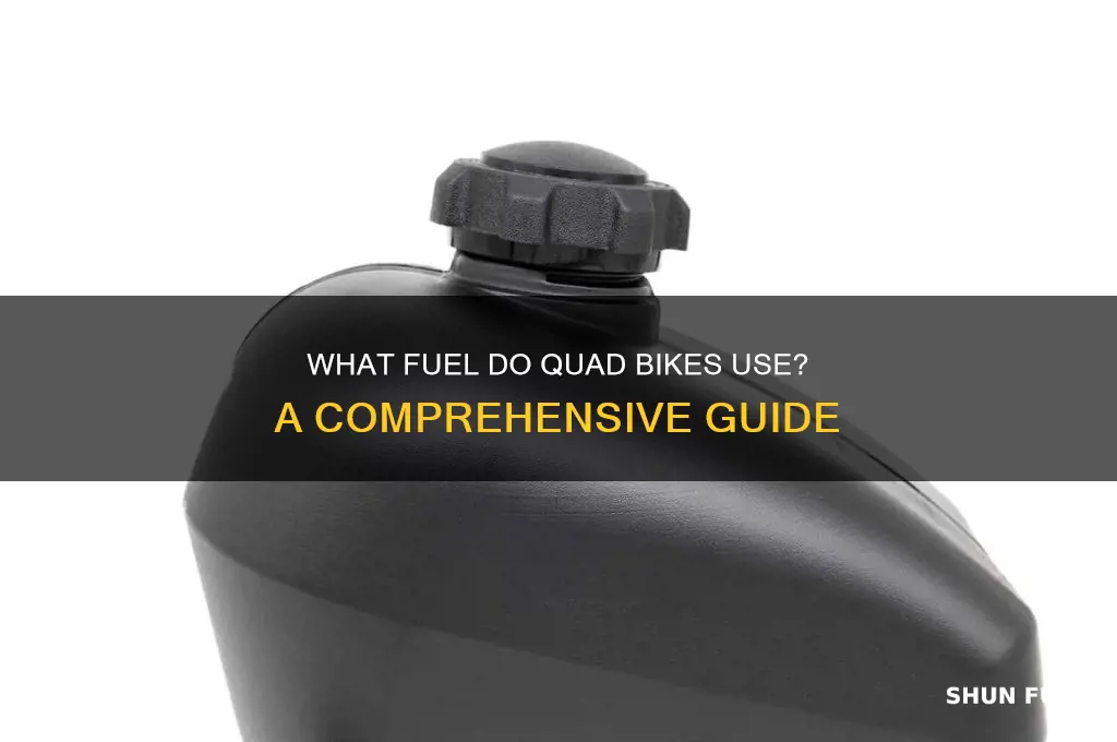 what fuel do quad bikes use